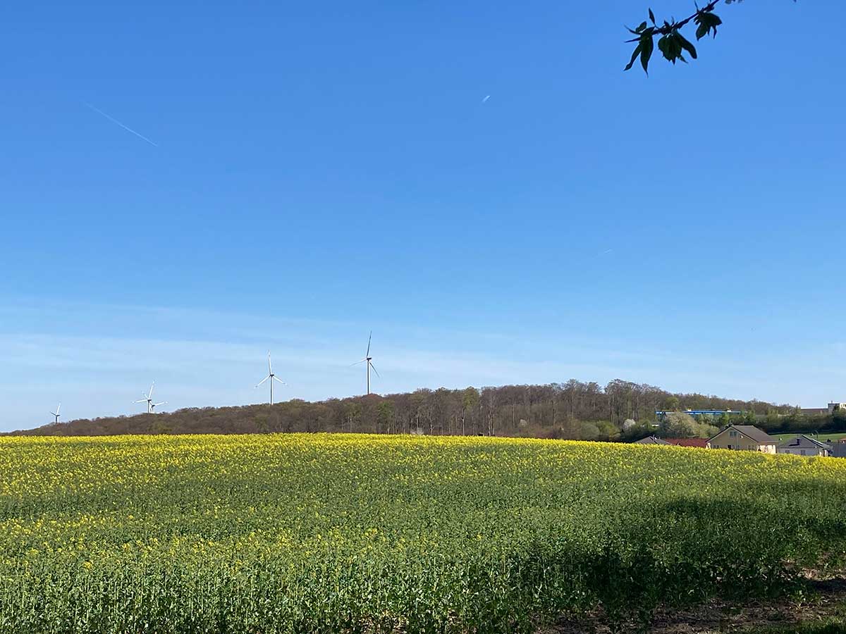 CDU-Ortsverband Maischeid ldt zur Windparkbesichtigung ein