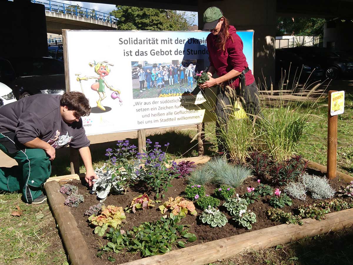 Willkommensbeet in der Sozialen Stadt von Culterra neu bepflanzt