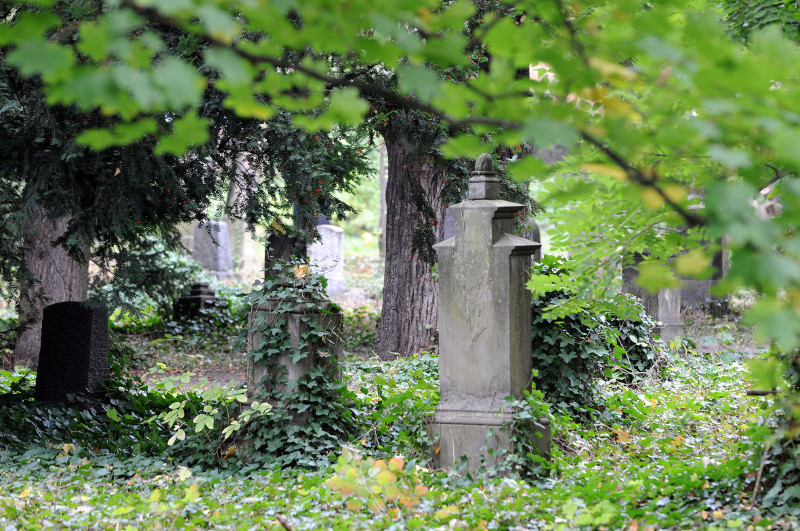 Alter Friedhof birgt Geheimnisvolles 