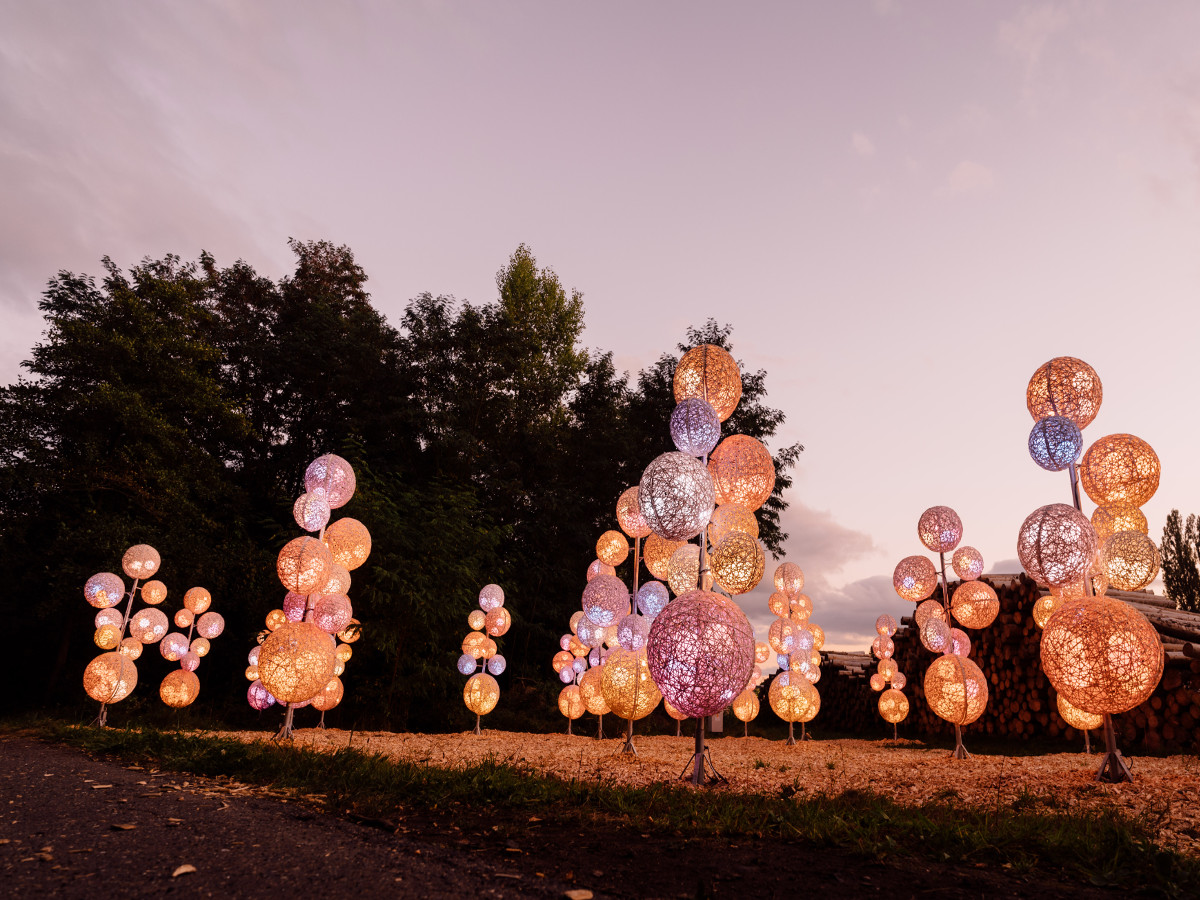 68.000 Besucher waren bei der Premiere von Lumagica Neuwied dabei. (Foto: Lumagica Neuwied)