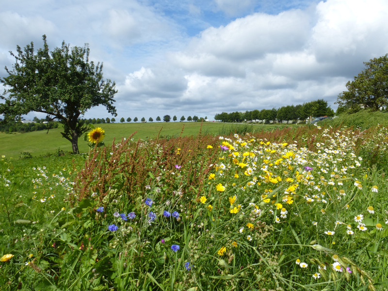 Der Naturpark prsentiert sich in einem Kurzforum in Bonefeld. Foto: Naturpark Rhein-Westerwald