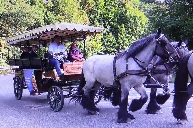 Per Kutschfahrt machten sich Raiffeisens Erben auf seine Spuren. Foto: Privat