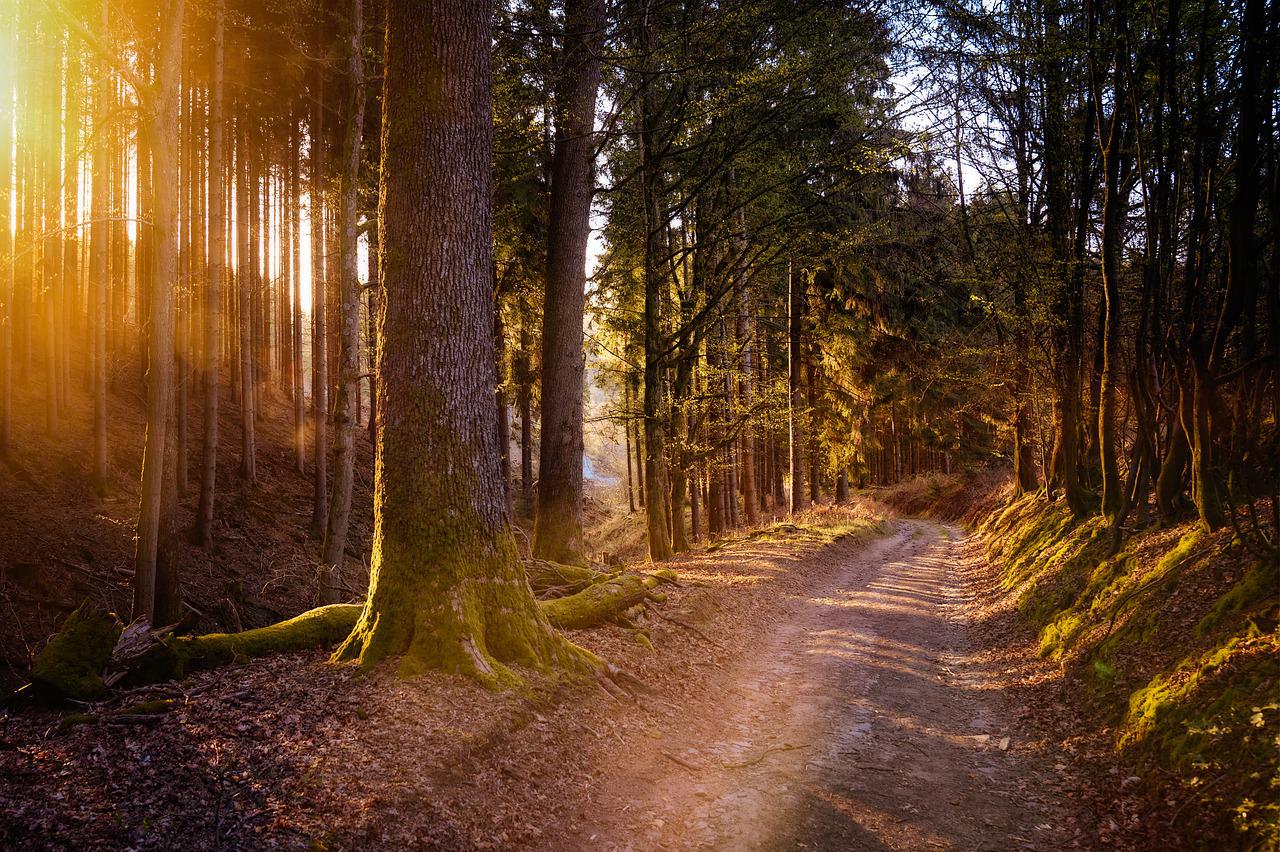 Wanderung ber den Leutesdorfer Weinbergen