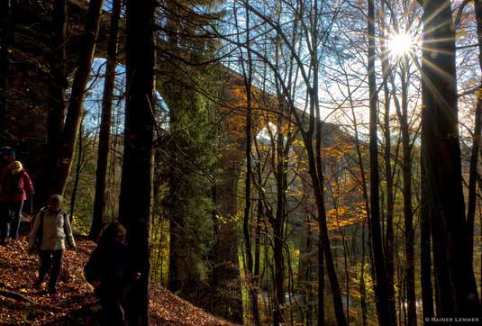 Impression der Wanderung. (Foto: Rainer Lemmer)