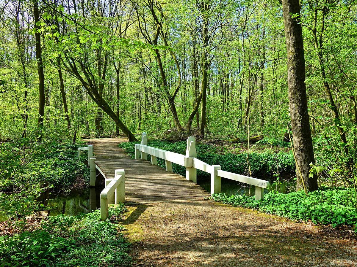 Es geht los! Kostenfreie, gefhrte Wanderungen im Kannenbckerland