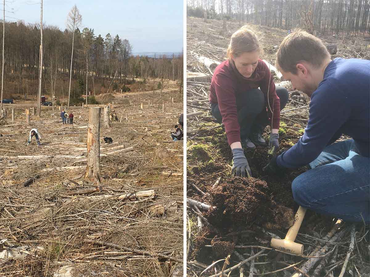 Erfolgreiche Pflanzaktion in Dernbach. (Foto: BUND-Kreisgruppe)