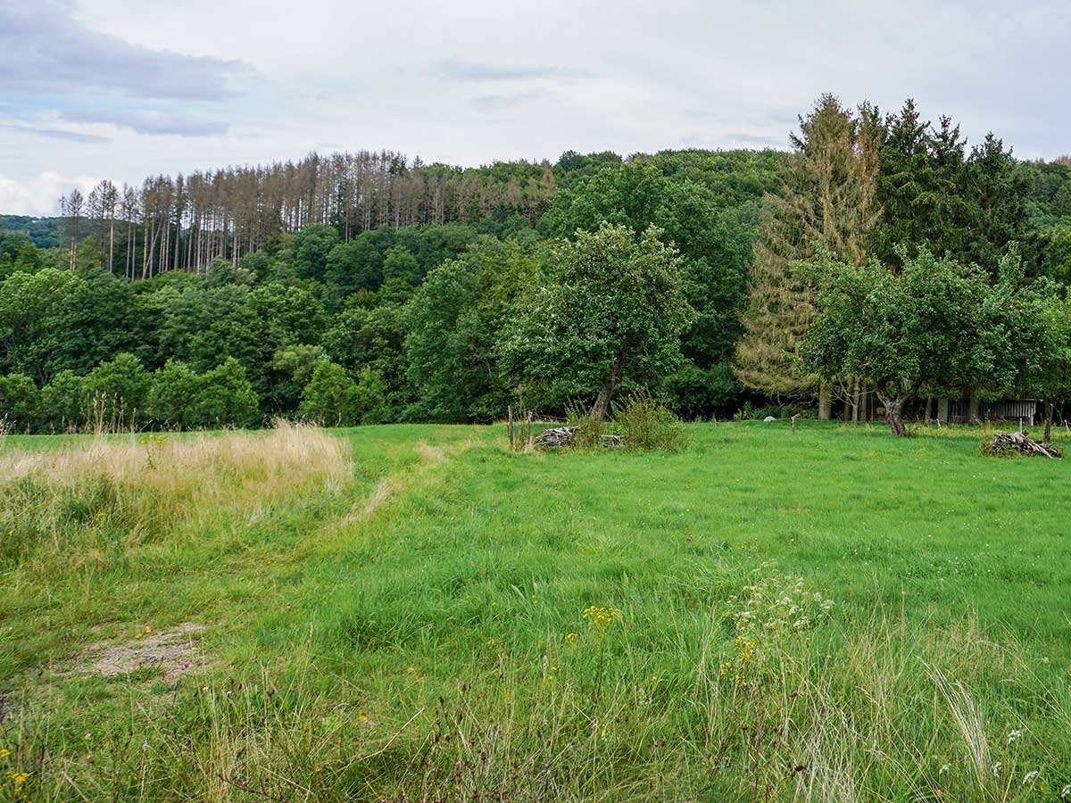 NABU Rheinland-Pfalz gibt Sachstandsbericht zur Westerwlder Seenplatte