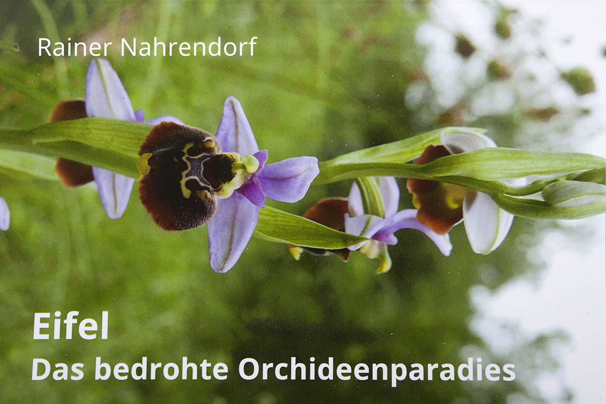 Buchtipp: „Eifel - Das bedrohte Orchideenparadies“ von Rainer Nahrendorf