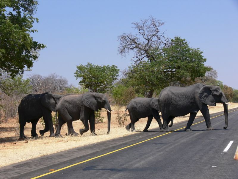 Namibia, das Land der Gegenstze