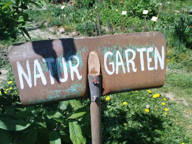 Naturgrten weisen eine Vielfalt an Pflanzen- und Tierarten auf. Fotos: S. Piwecki