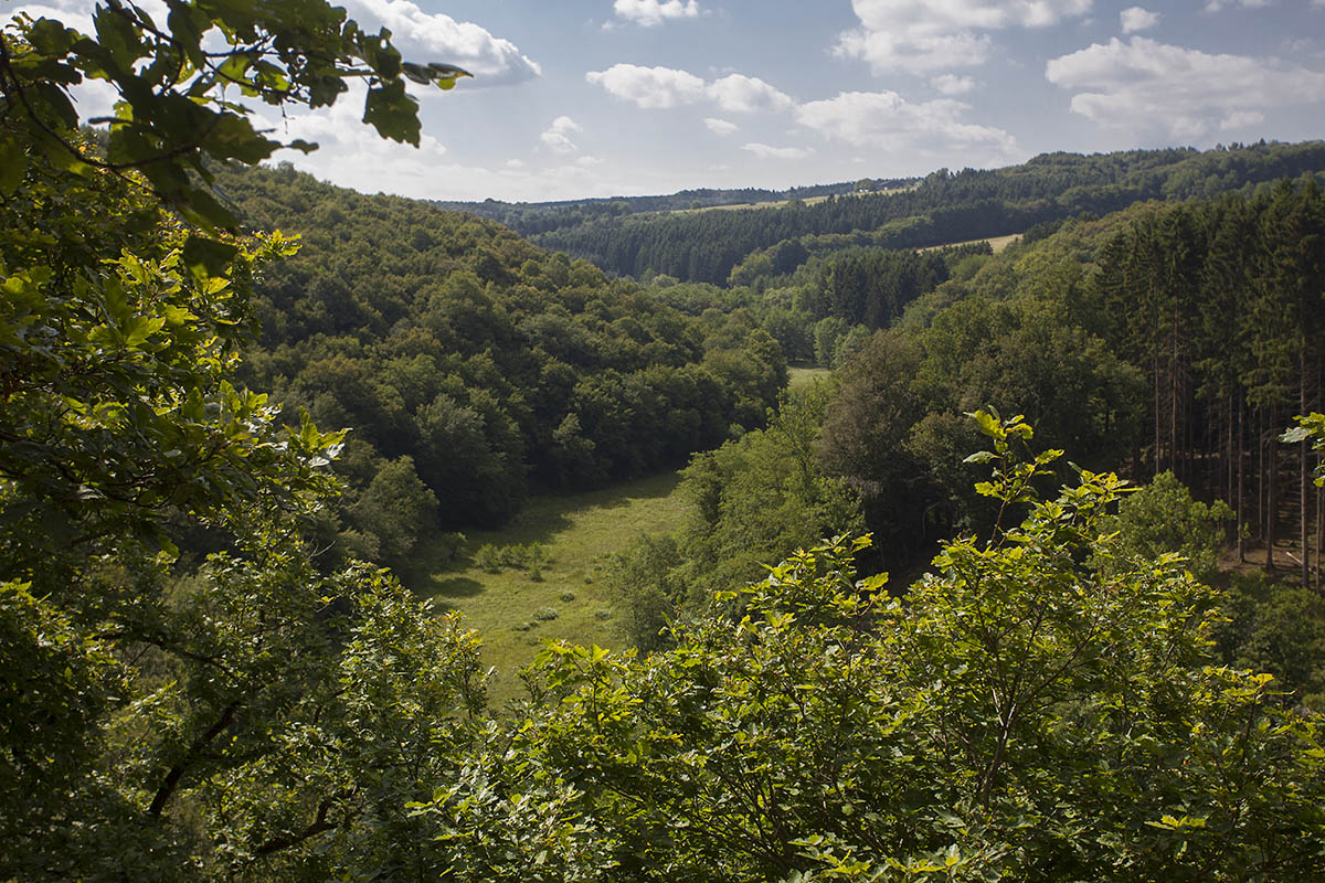 Der Naturpark bietet viele schne Stellen fr Veranstaltungen. (Foto: Wolfgang Tischler)