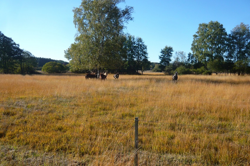 Land hilft dabei, Flora und Fauna im Kreis zu schtzen