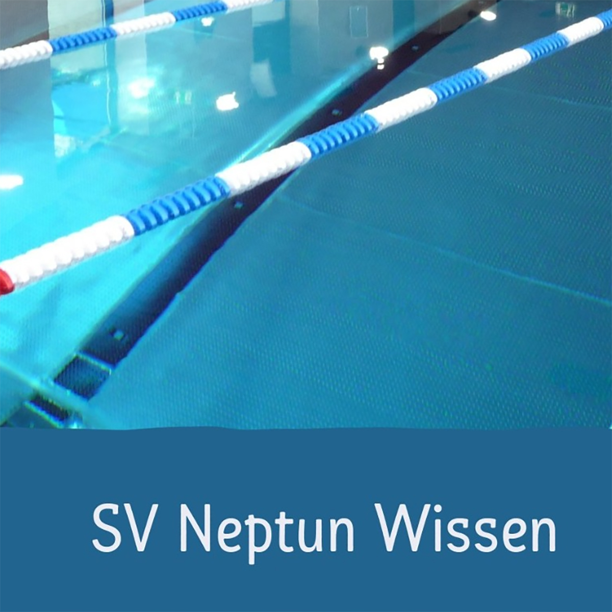 SV Neptun Wissen erfolgreich beim Westerwaldschwimmfest