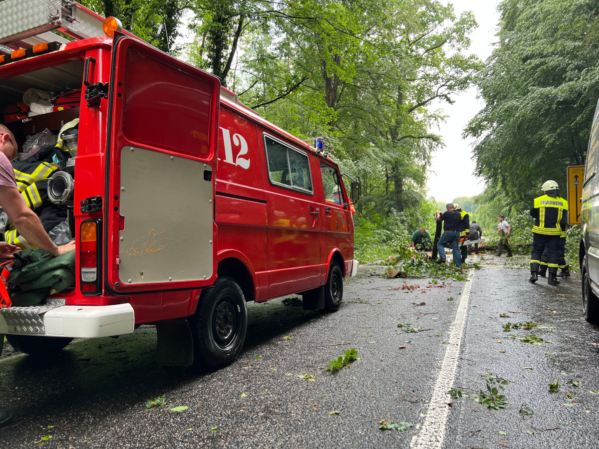 Auf der B49 von Montabaur in Richtung Neuhäusel stürzten zwei Laubbäume auf die Bundesstraße und blockierten die Fahrbahn in beide Richtungen. (Fotos: Elke Stockhausen)