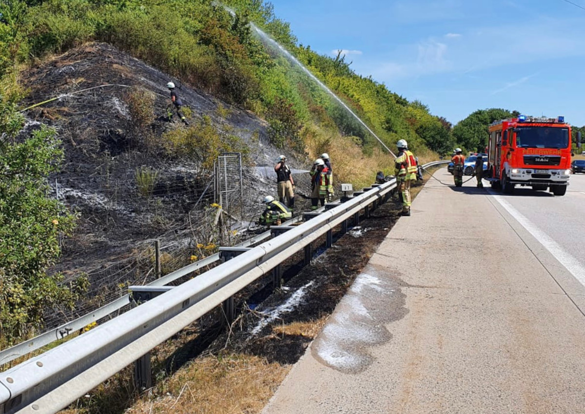 Neustadt (Wied): Feuerwehr kann Flchenbrand an der A3 lschen