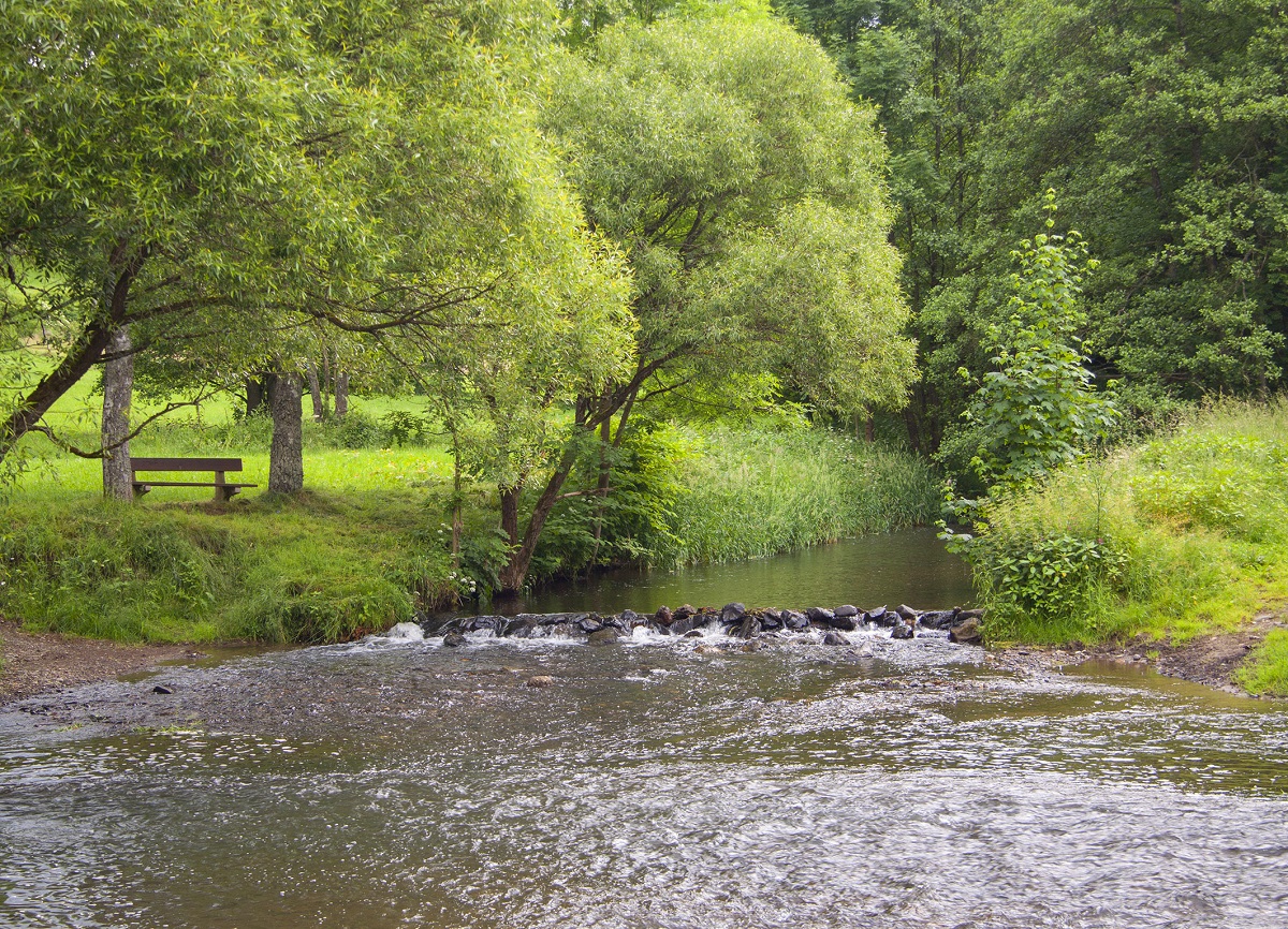 Blick auf die Nister (Foto: Veranstalter)