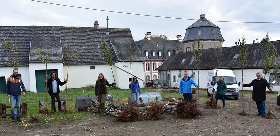 Die Verteilung der Obstbume. Foto: Kreisverwaltung