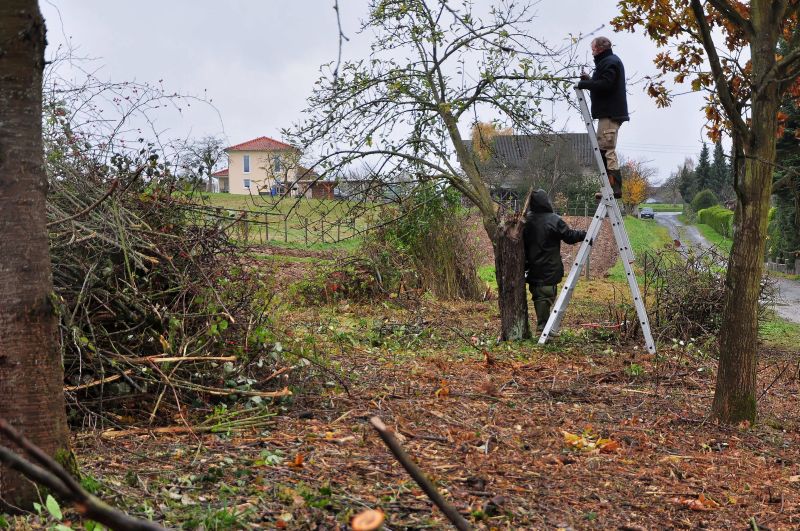 Arbeitseinsatz auf den NABU-Streuobstwiesen