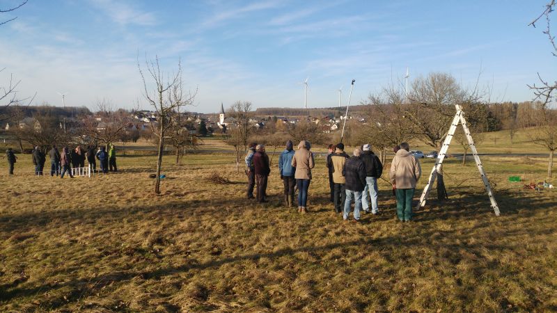 Naturschutzverein Hahn am See: Obstbaumschnittkurs