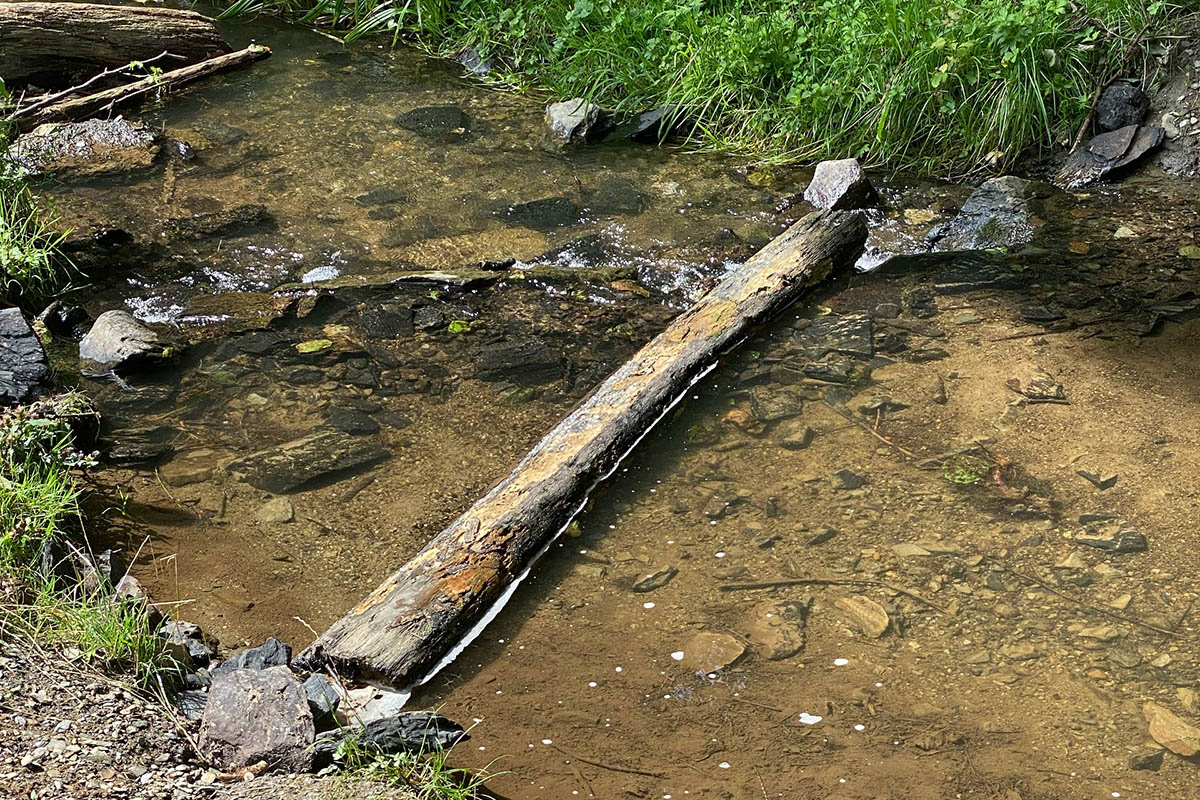 Haus der Stille ldt zu vier Gratis-Meditationen ein