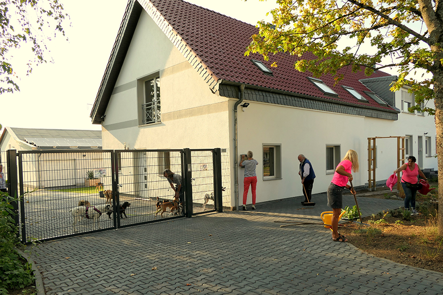 Der Orscheider Tierschutzhof. Foto: privat