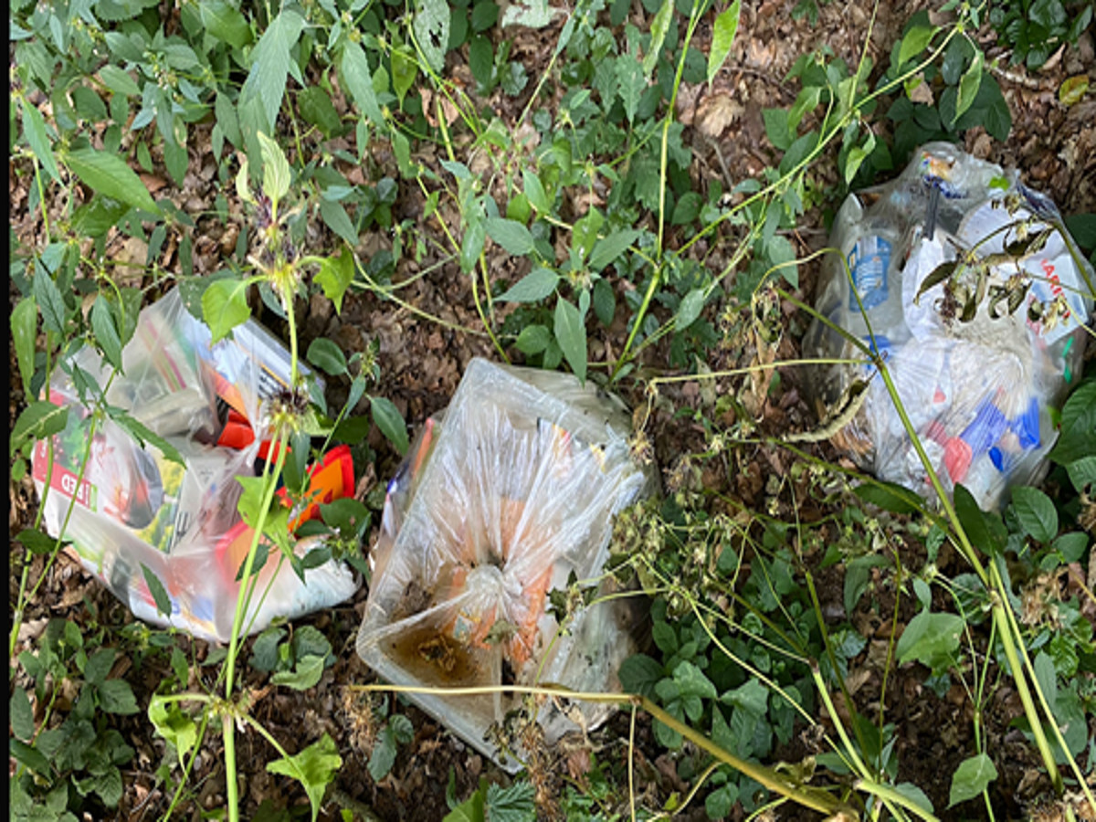 Wer schmeißt seinen Müll regelmäßig in den Wald bei Obersteinebach? (Foto: VG Altenkirchen-Flammersfeld)