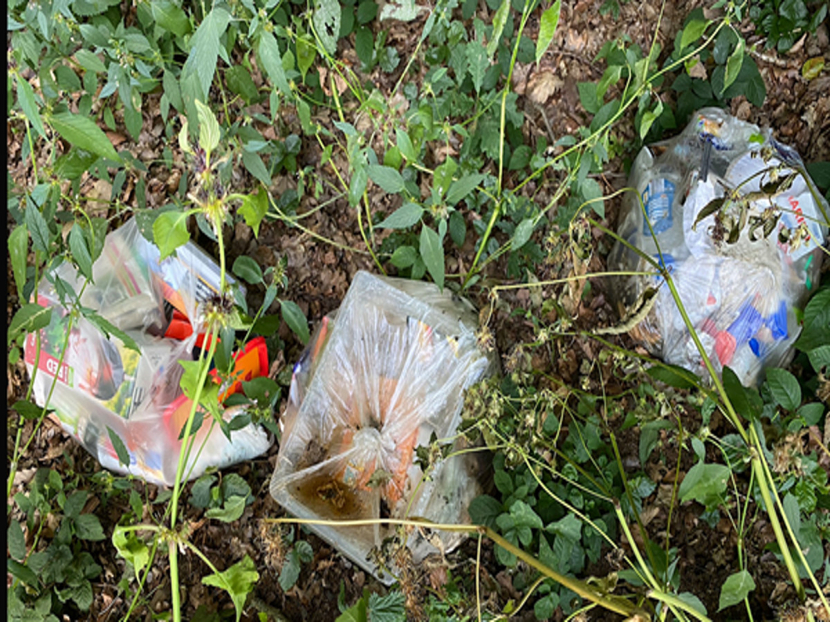 Illegale Abfallentsorgung in der Gemarkung Obersteinebach