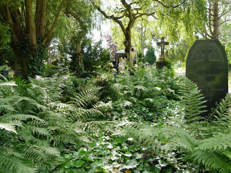 Dieser historische Teil des Friedhofs wird bewusst kaum gepflegt: Die Natur darf ihn erobern.  Fotos: Stadt Montabaur