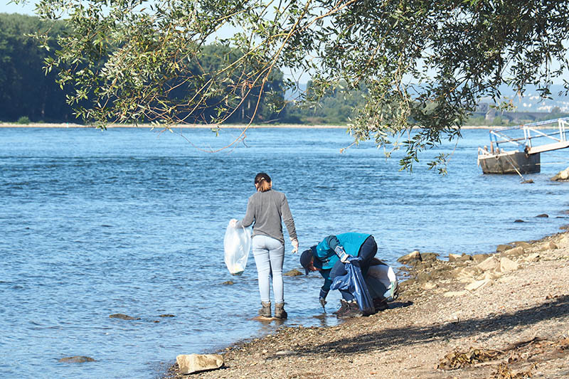 Mitmachen beim Rhine-Clean-Up  