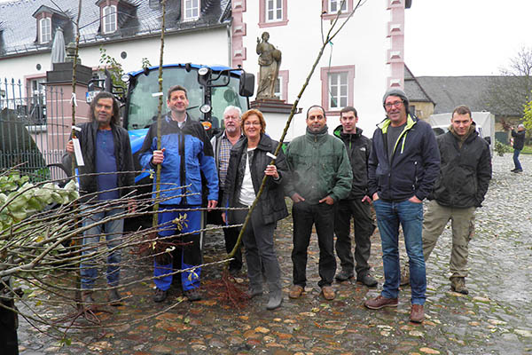 Auch in diesem Winter folgten zahlreiche Streuobst-Interessenten dem Angebot der Kreisverwaltung Neuwied, junge Apfelbume alter Sorten fr den Garten oder die Wiese im Rondellhof der Abtei Rommersdorf abzuholen. Foto: Kreisverwaltung