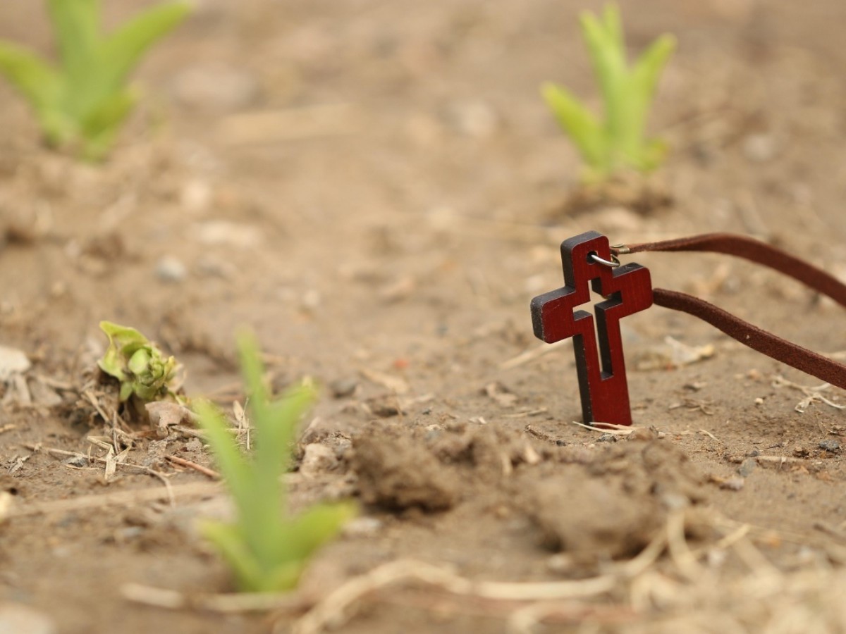 Symbolbild (Foto: Pixabay)