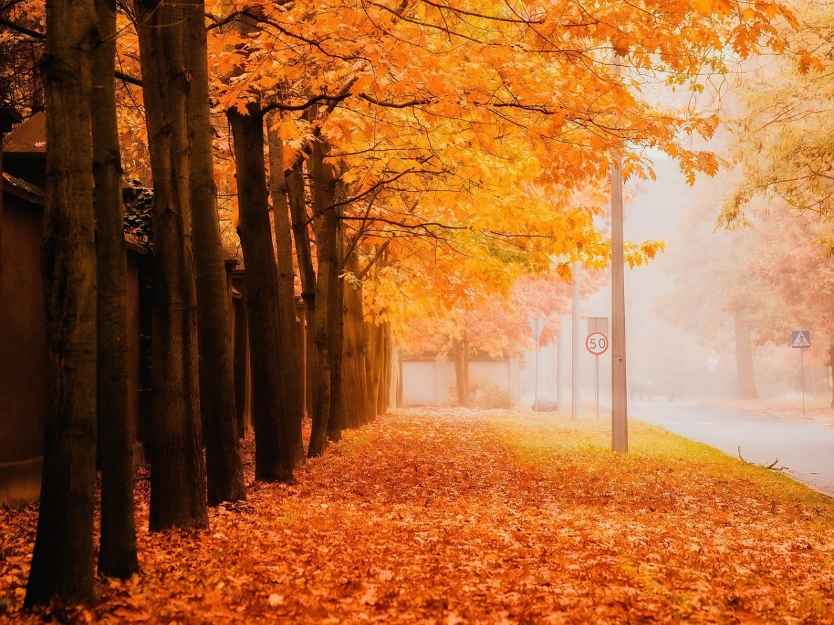 Symbolbild (Foto: Pixabay)