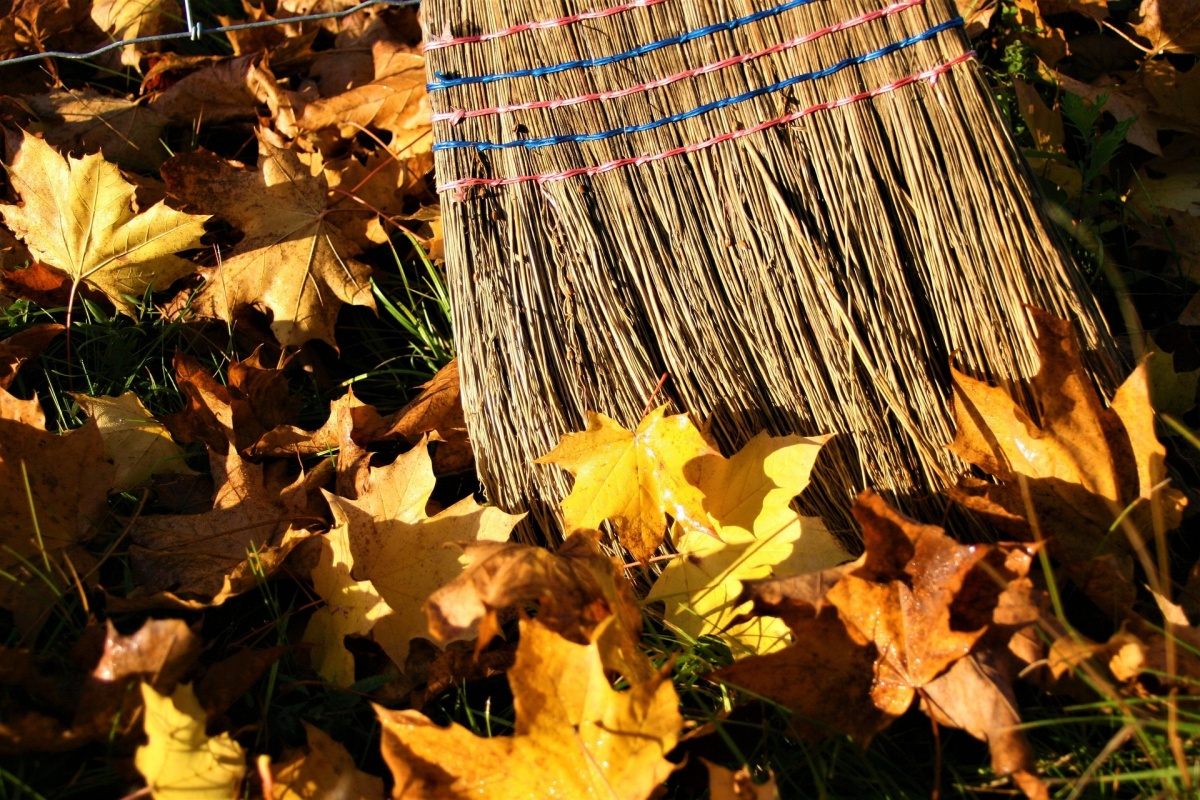 Symbolbild (Foto: Pixabay)