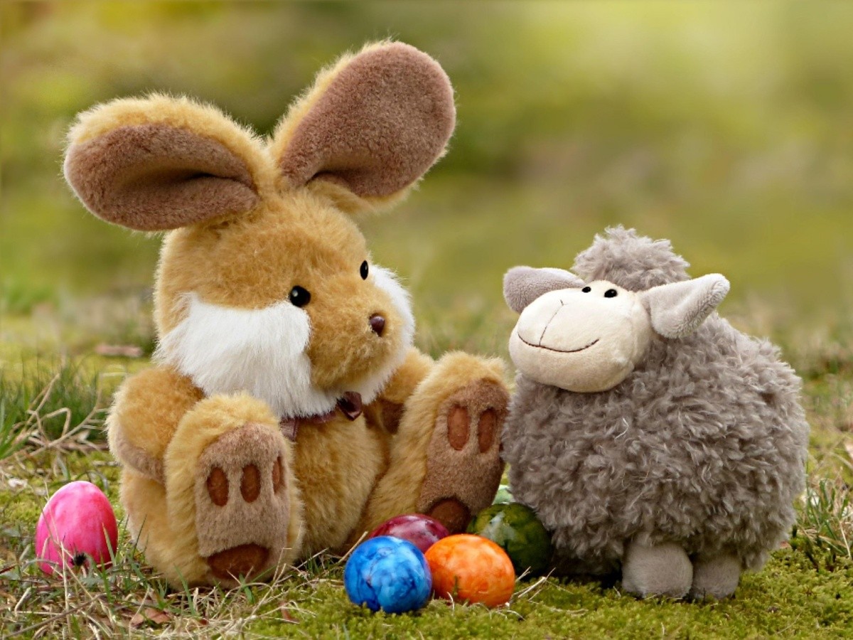 Wechselhaftes Osterwetter in Rheinland-Pfalz erwartet