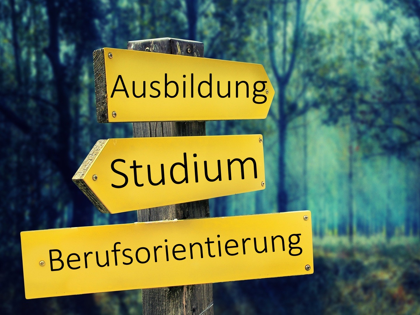 Symbolbild (Foto: Pixabay/bearbeitet durch Red)