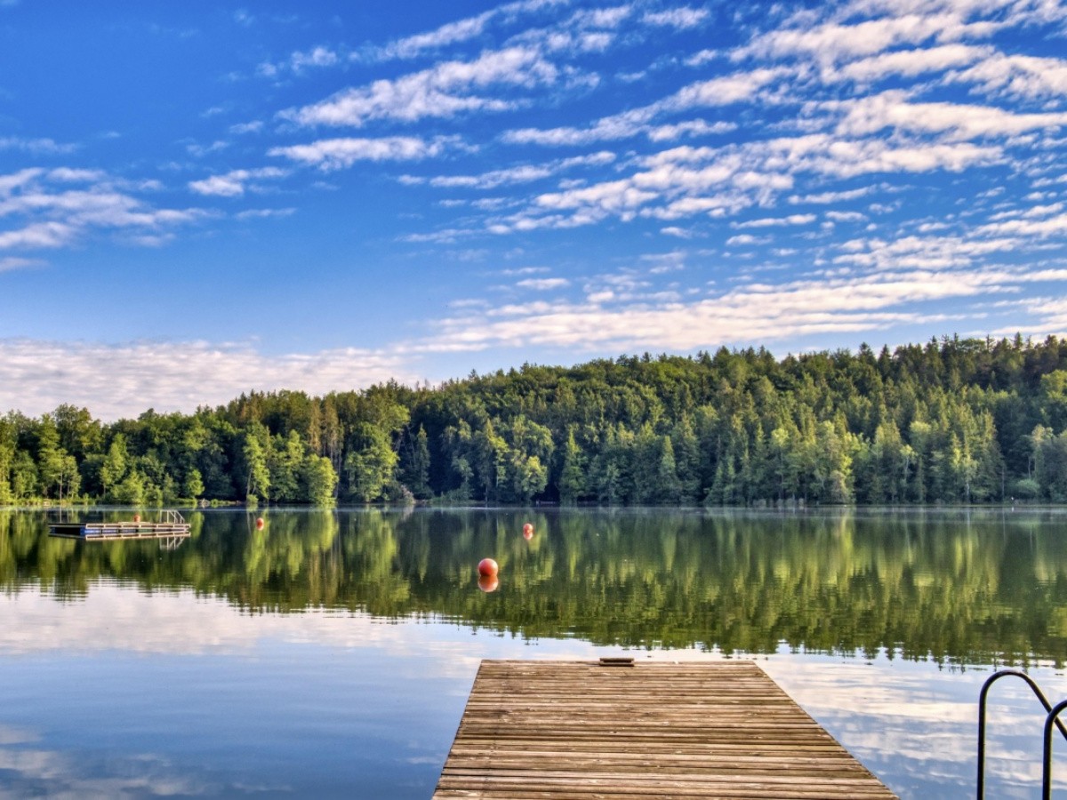 Symbolbild (Foto: Pixabay)
