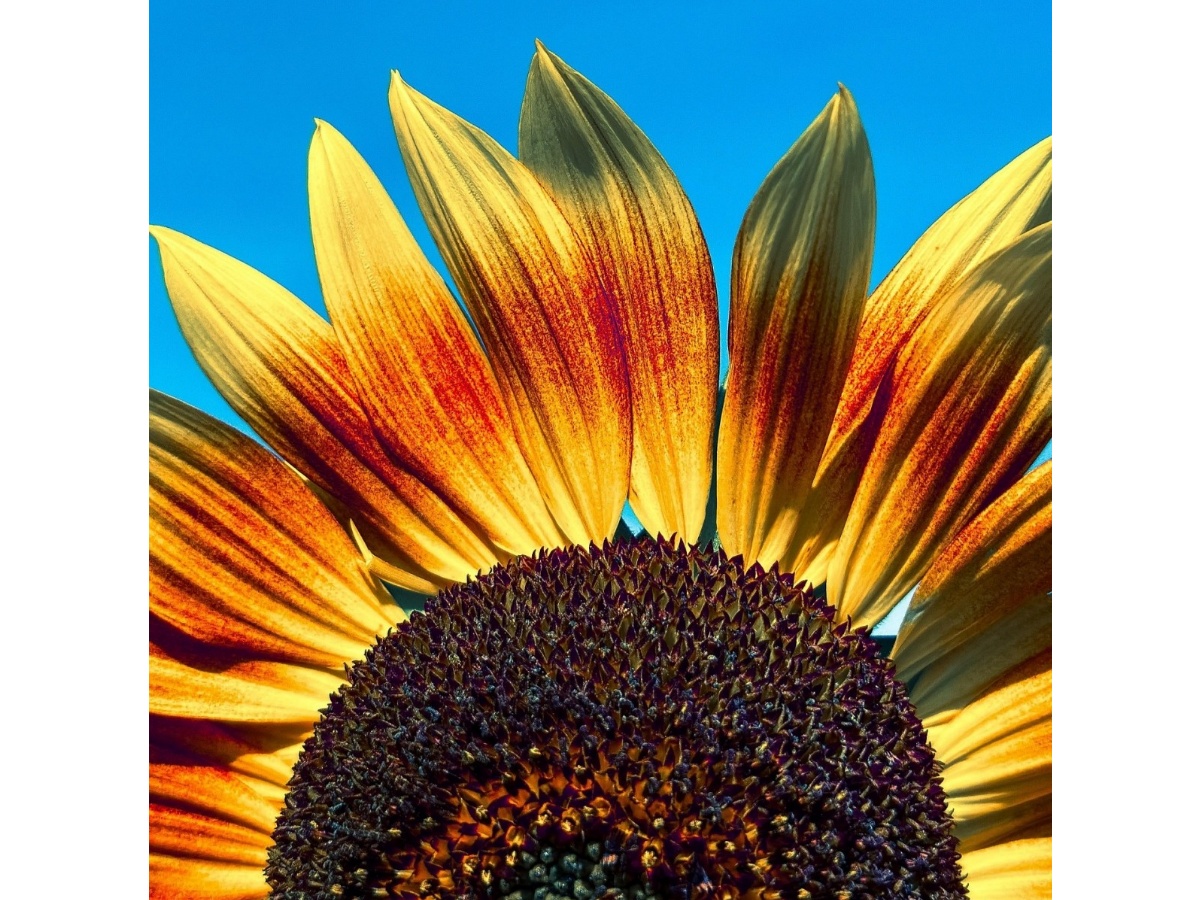 Symbolbild (Foto: Pixabay)