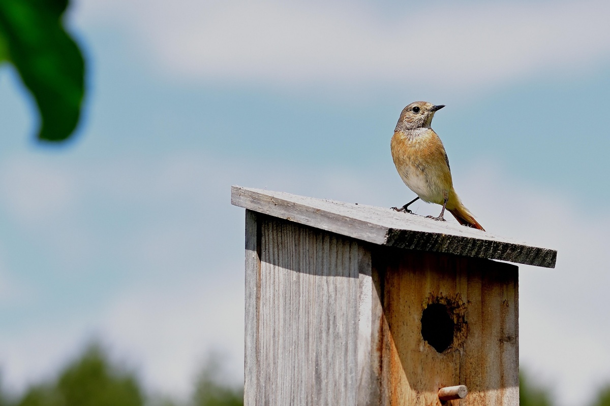 Symbolbild (Foto: Pixabay)
