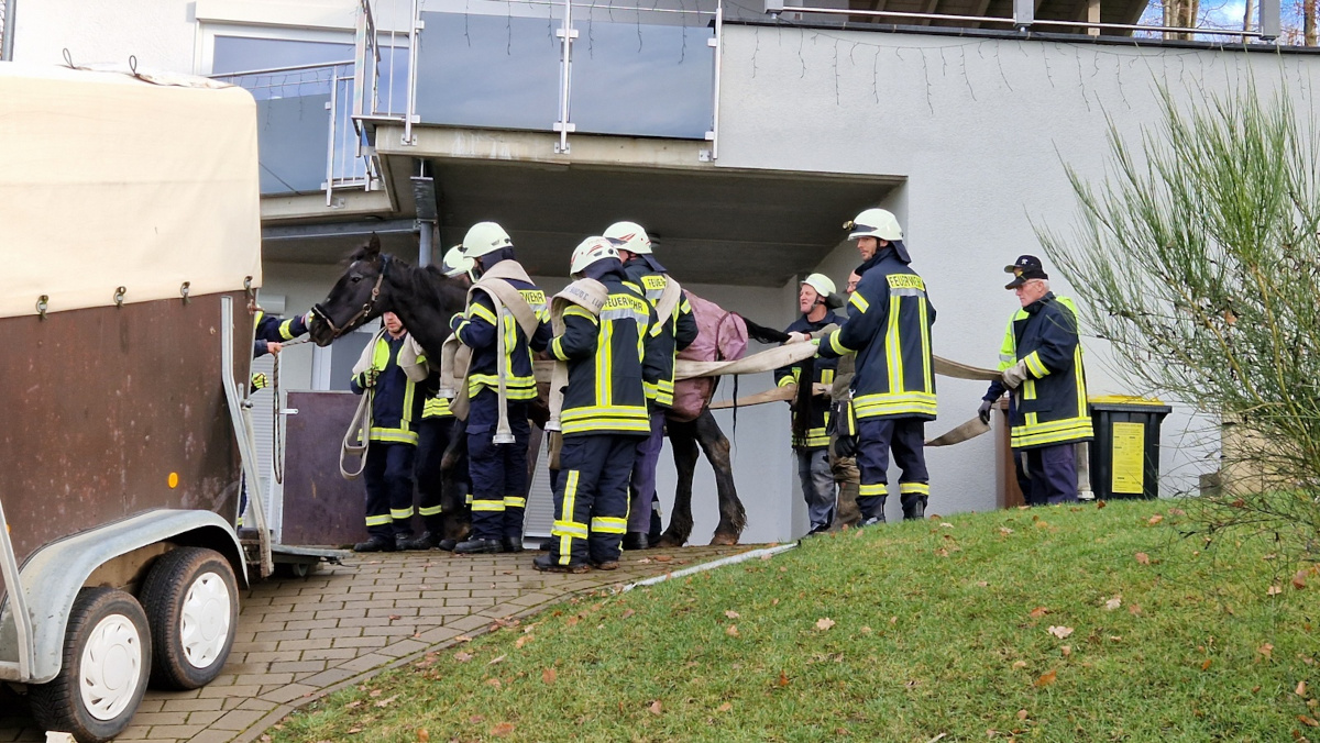 Girkenroth: Feuerwehr rettet vllig entkrftetes Pferd