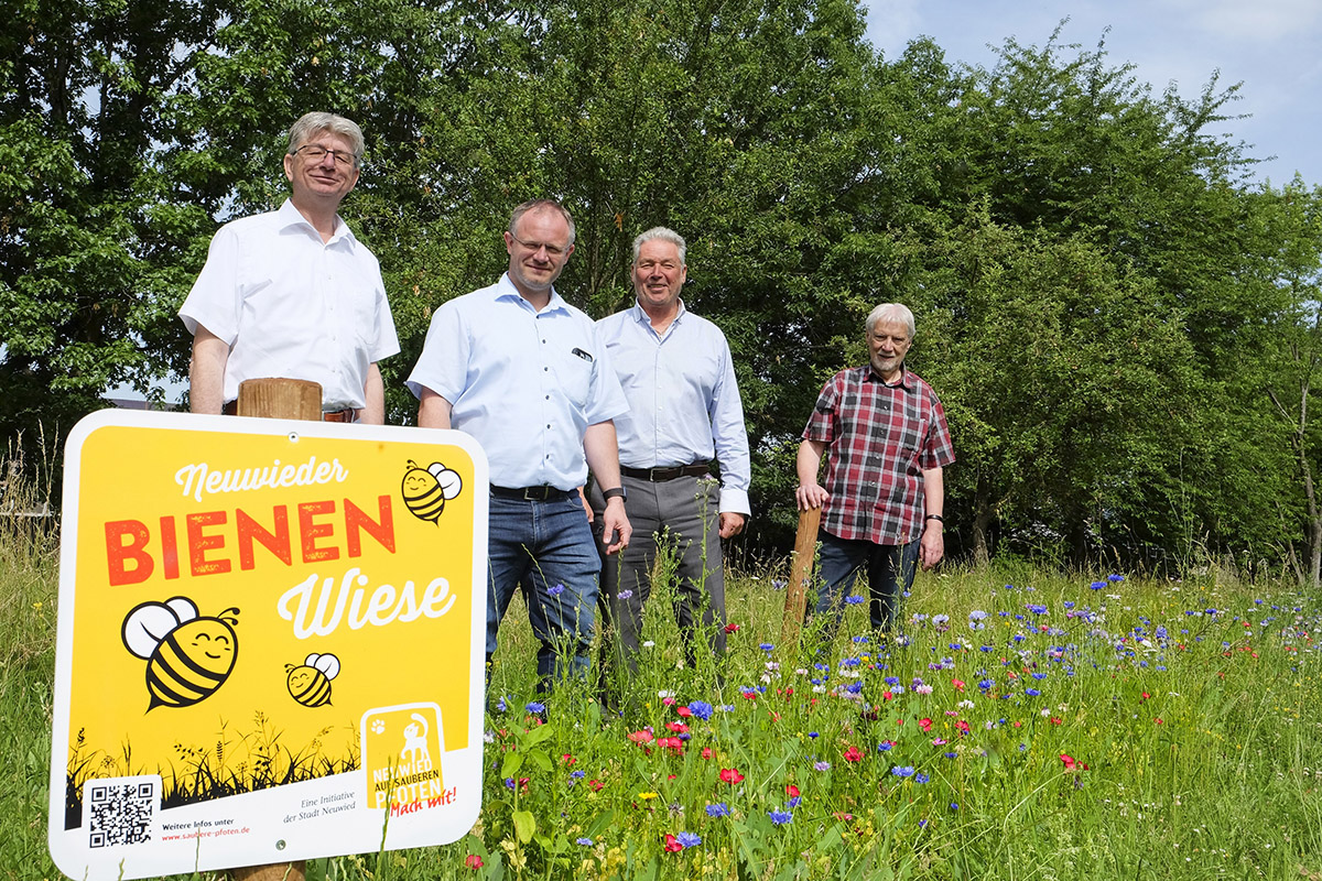 Insektenschutzflchen gibt es unter anderem im ueren Raiffeisenring. Hier wurde auch das erste das Hinweisschilder in der Saubere-Pfoten-Optik aufgestellt. Dabei unterstrichen (v.l.) Beigeordneter Ralf Seemann, Oberbrgermeister Jan Einig, SBN-Geschftsfeldleiter Frank Schneider und Stadt-Pressesprecher Erhard Jung, der die Saubere-Pfoten-Kampagne koordiniert, die Bedeutung der stadtweit entwickelten Flchen. Foto: Stadt Neuwied