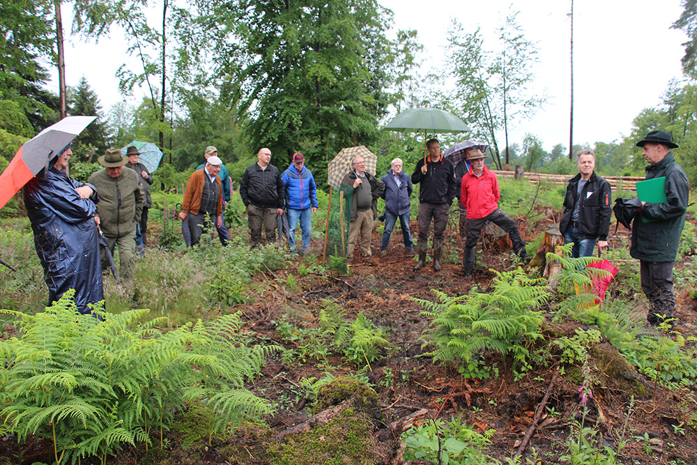 Waldbildungstag des Kreiswaldbauvereins Neuwied