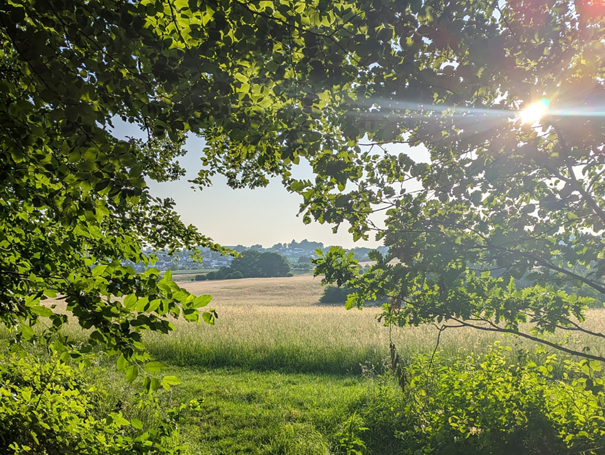 Foto: Typisch Westerwald