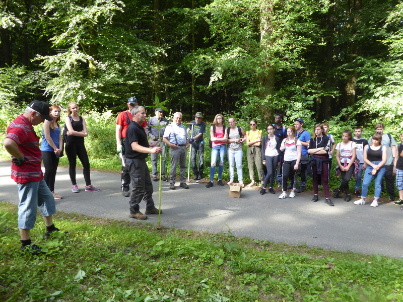 Schler der Realschule plus Puderbach und weitere Helfer zogen gegen das Indische Springkraut zu Felde. Foto: Privat