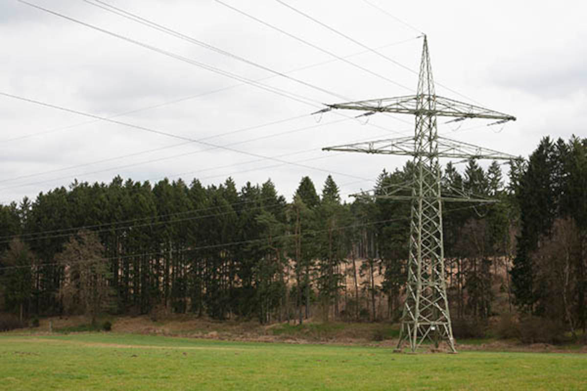 Umgestürzter Baum verursachte Stromausfall rund um die VG Puderbach