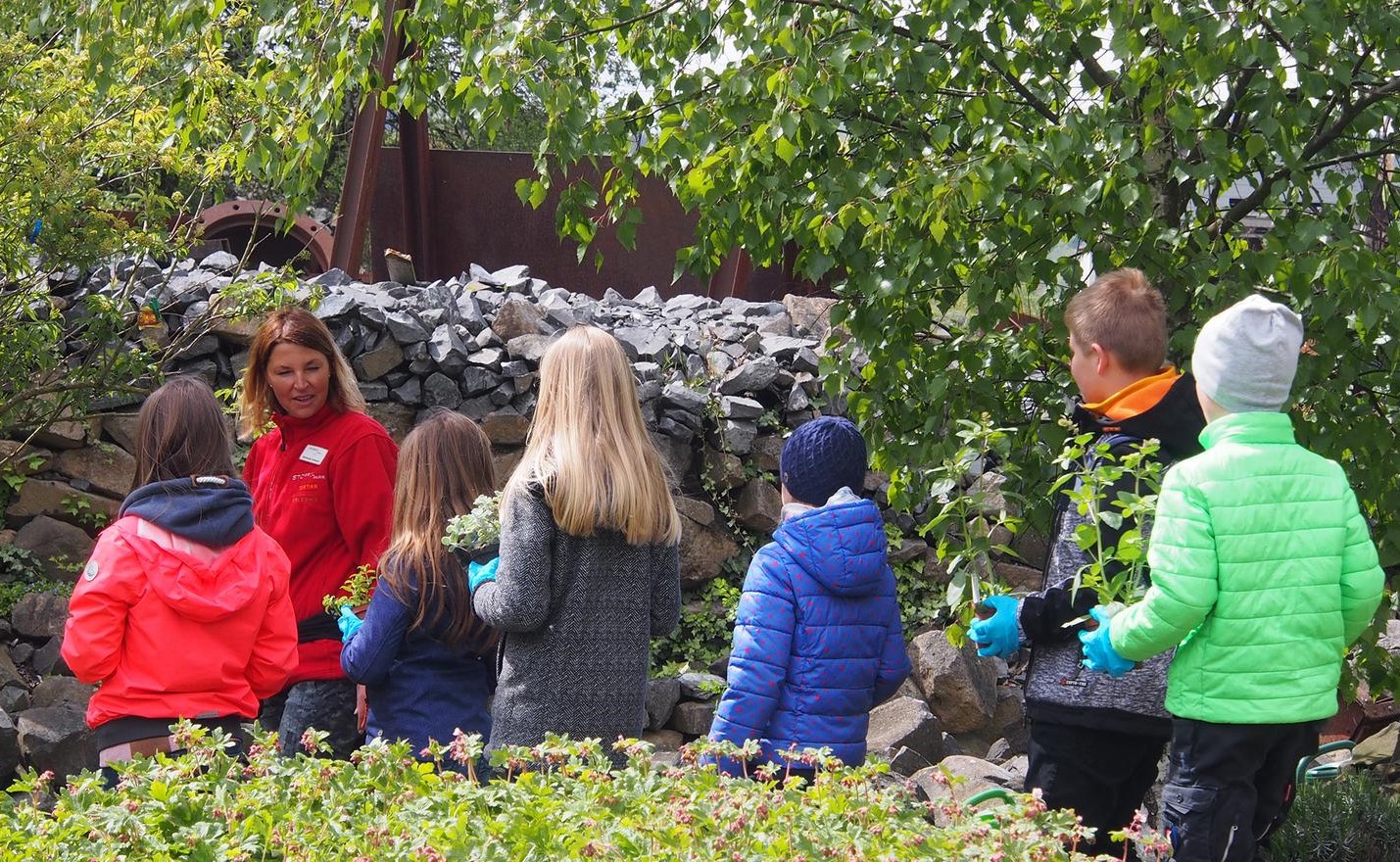 Pflanztag rund um den Marienkfer im Stffel-Park