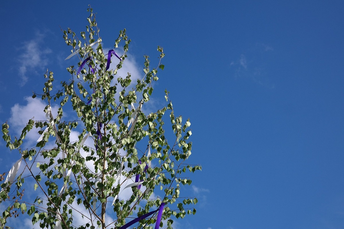 Symbolbild (Foto: Pixabay)