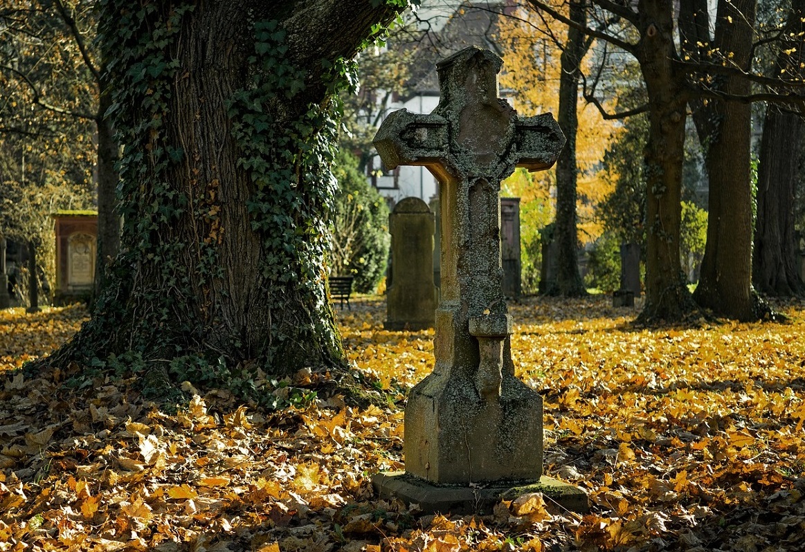 Symbolbild (Foto: Pixabay)