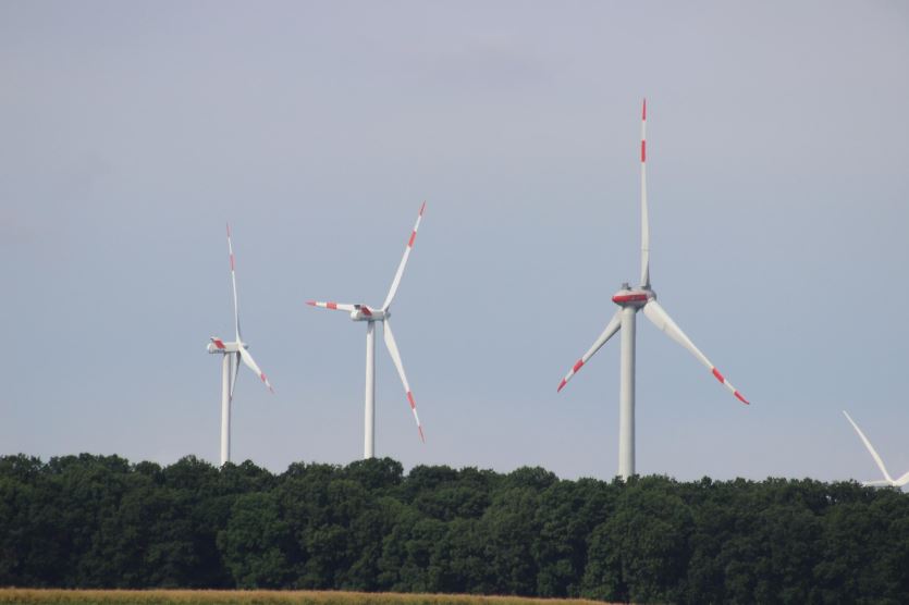 Symbolbild (Foto: Pixabay)