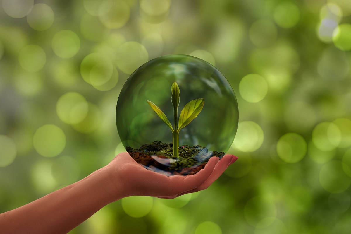 Symbolbild (Foto: Pixabay)
