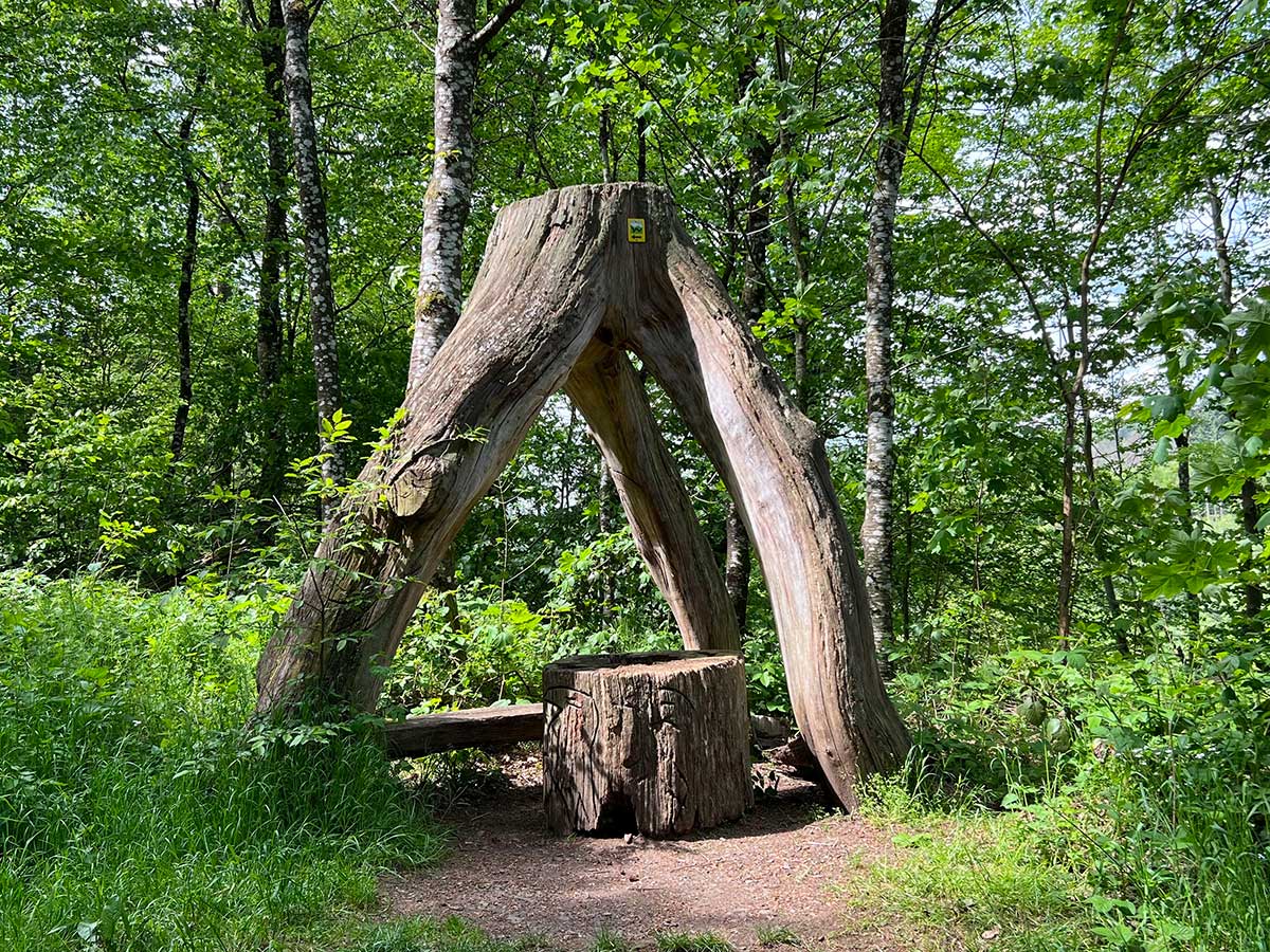 Die Dreibein-Baum-Sitzgruppe. (Foto: Katharina Kugelmeier)